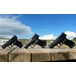 canik-mete-mc9-l-9-mm-black-5